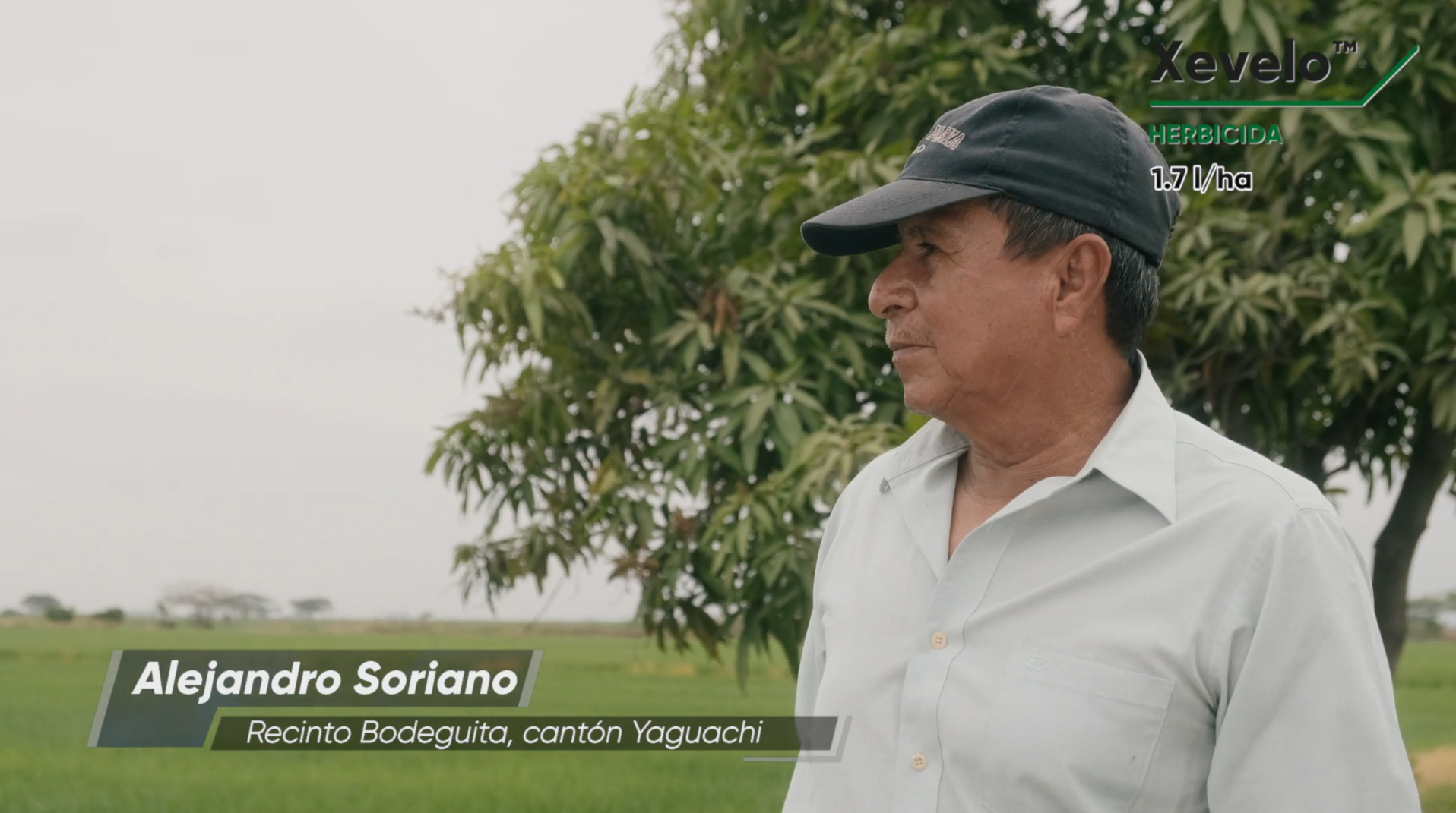 Xevelo - Alejandro Soriano